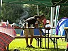 Waischenfeld 2008 034.jpg